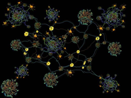 1-network 1-network